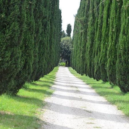 Casale Colleoni Bed & Breakfast Tivoli Bagian luar foto