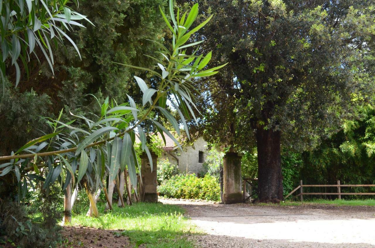 Casale Colleoni Bed & Breakfast Tivoli Bagian luar foto
