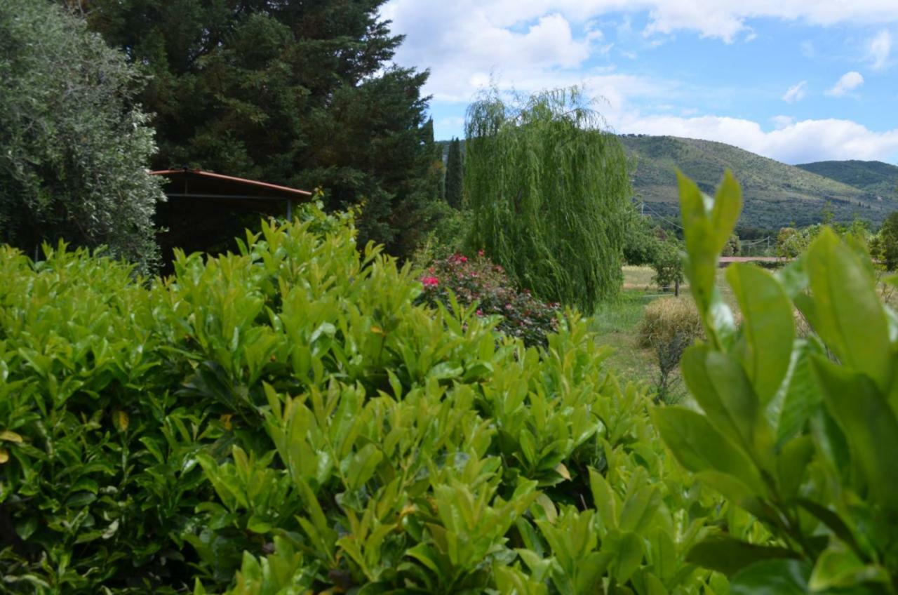 Casale Colleoni Bed & Breakfast Tivoli Bagian luar foto