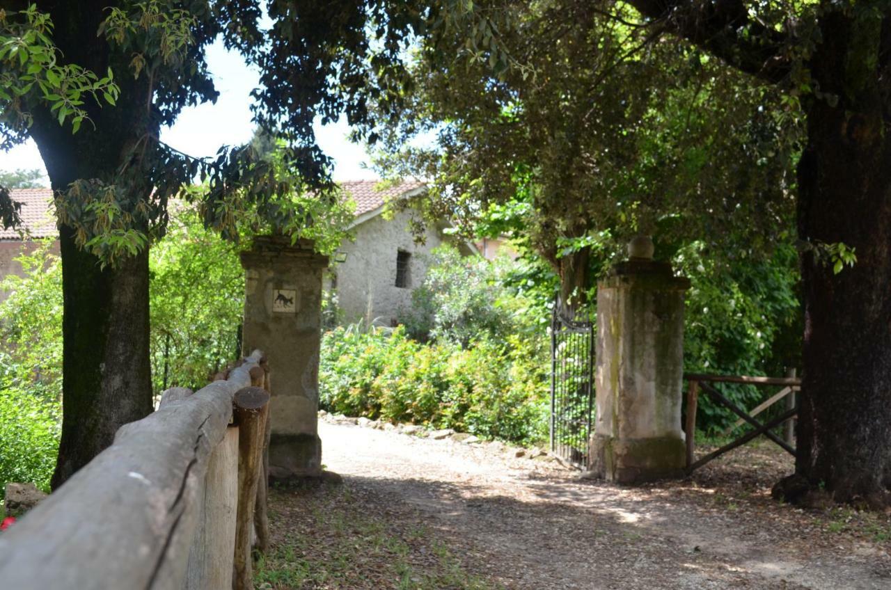 Casale Colleoni Bed & Breakfast Tivoli Bagian luar foto